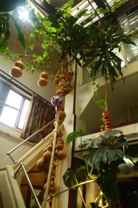 Narrow, twisty stairways alive with plants.
