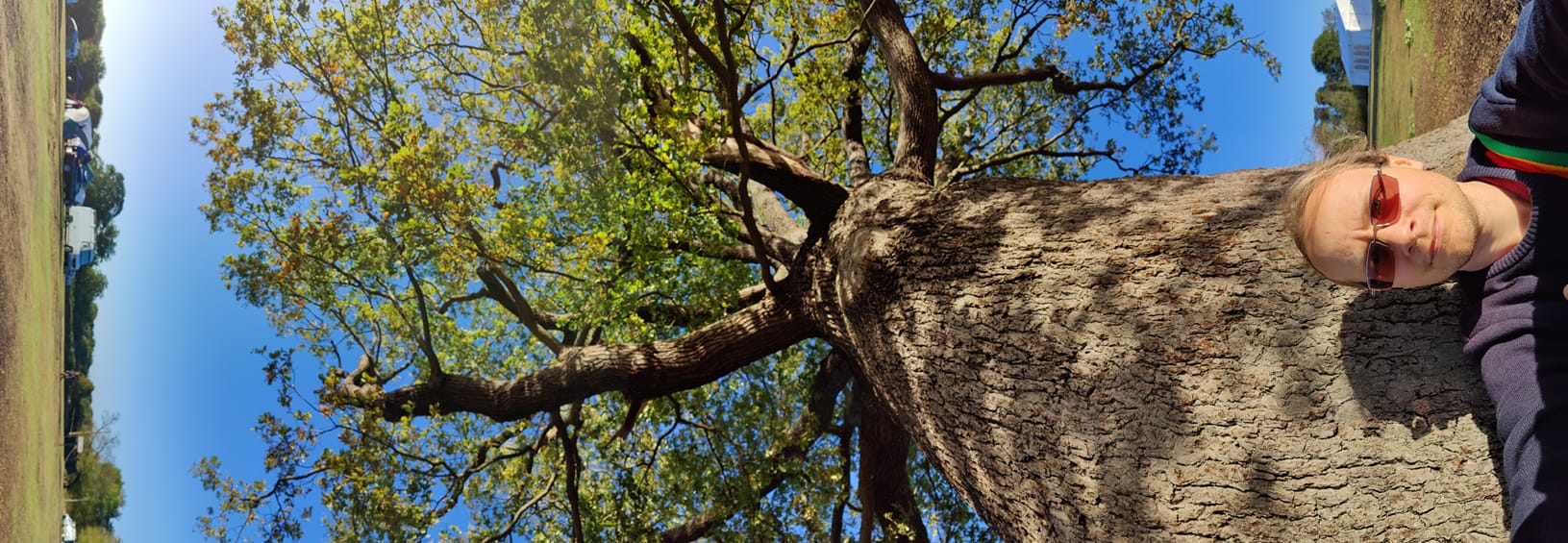 A panorama, photographed vertically but shown horizontally, with a horizon on the left, a tree in the middle, and me - Fergus - on the right.