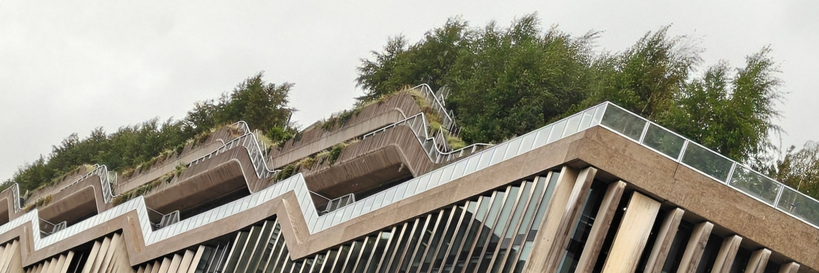 An abstracted view of a lush yet brutalist structure.